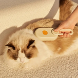 ZenSteam Pet Brush